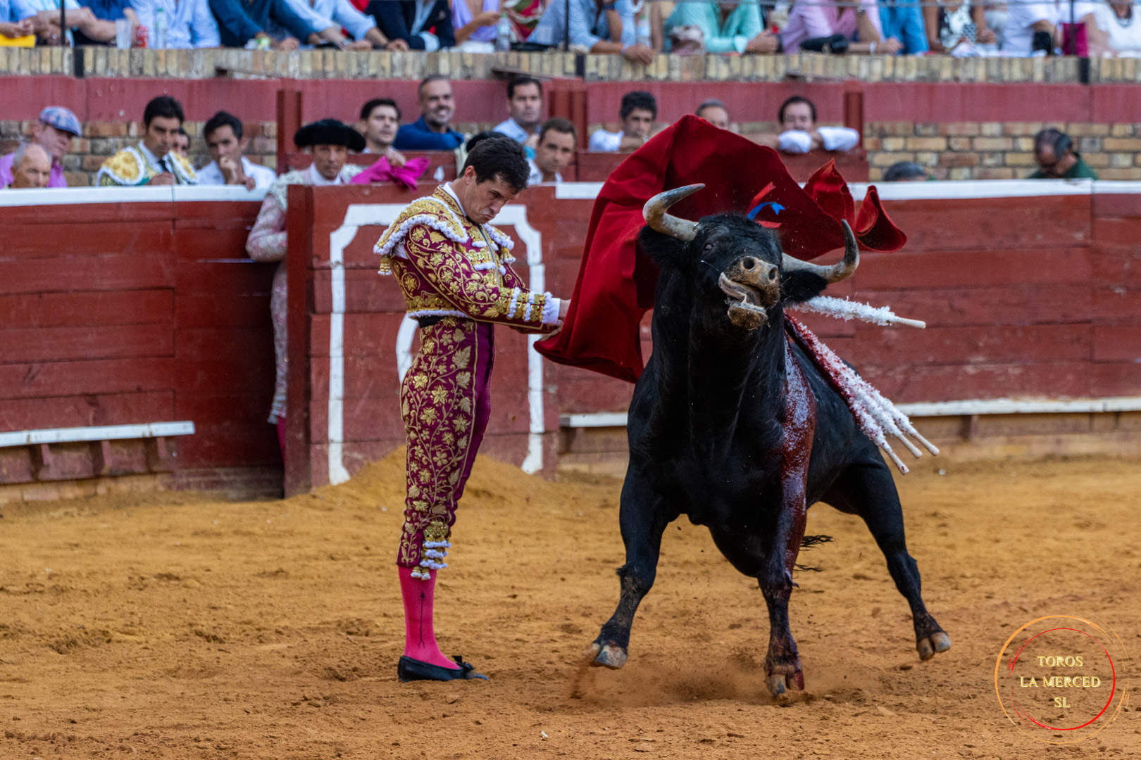 Luque, torería de la fina