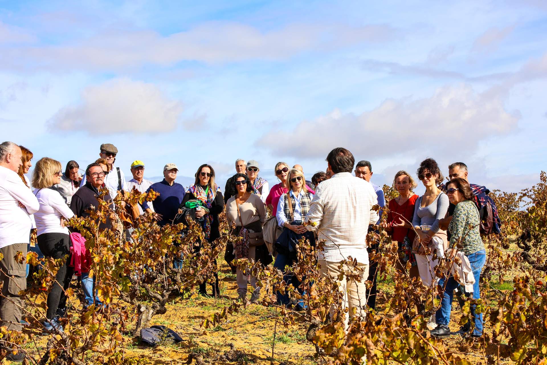 Visita guiada Bodegas Magasé