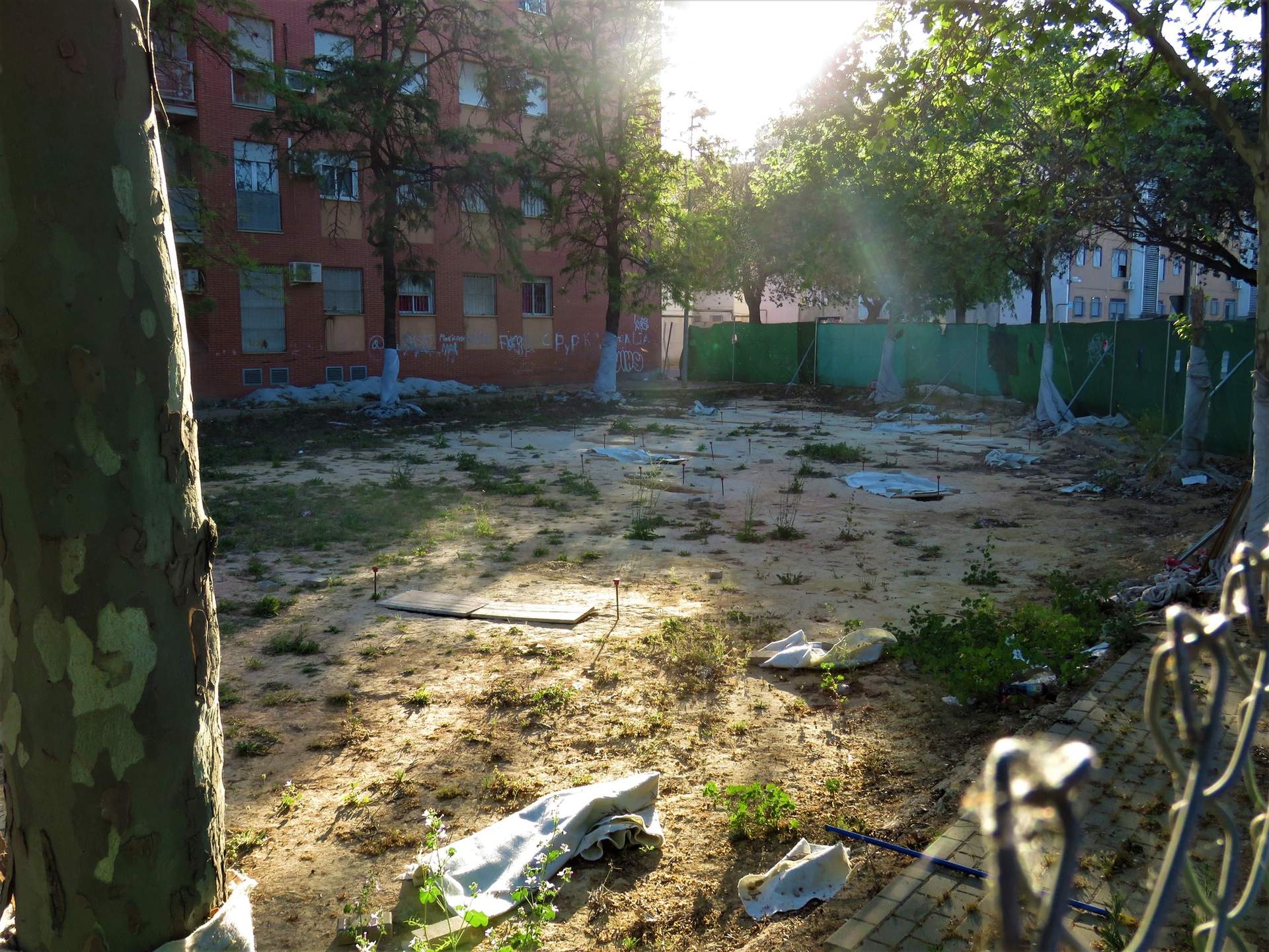 Necropolis cuando se descubrio