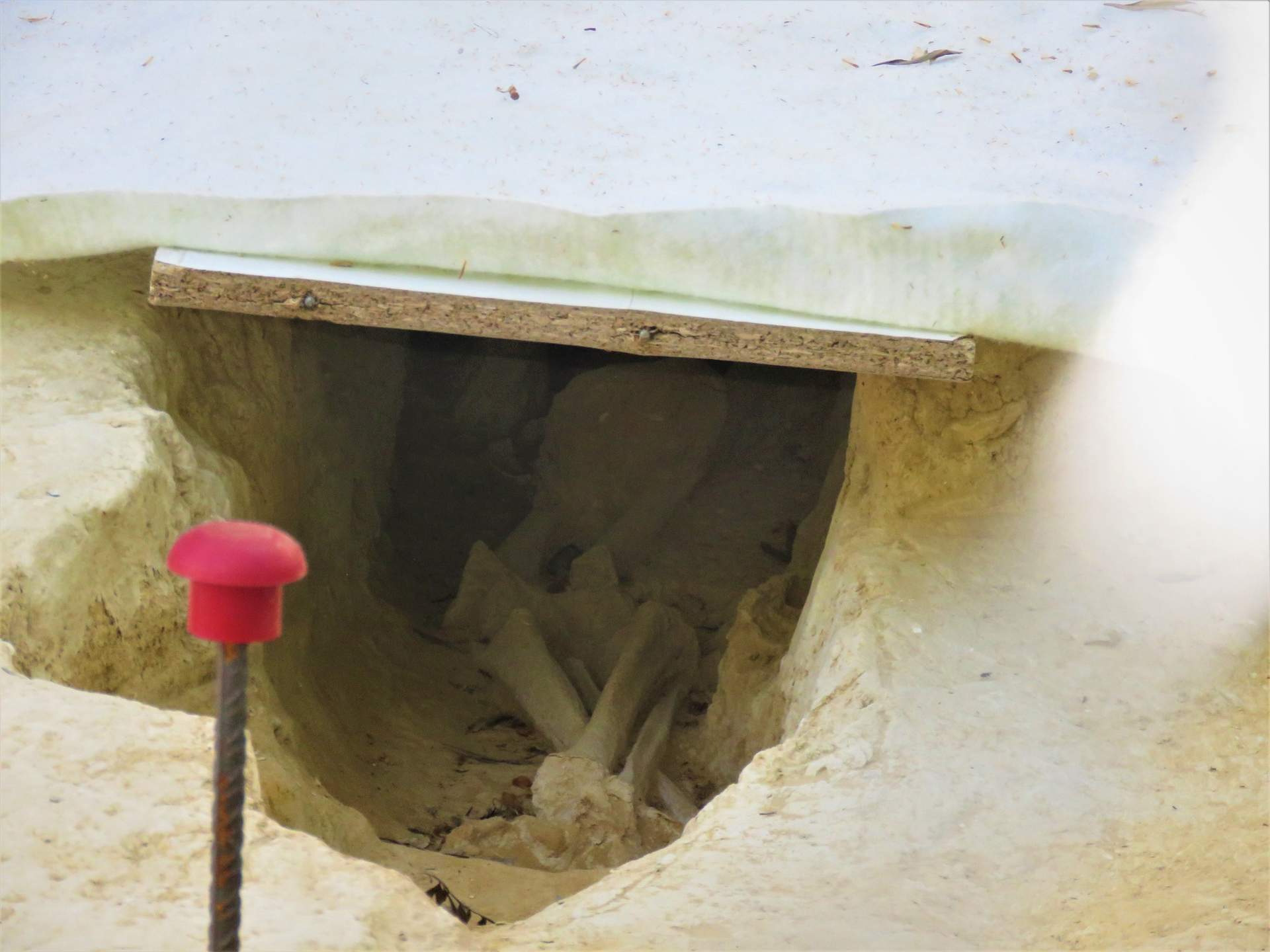 Tumba de la necropolis del torrejon