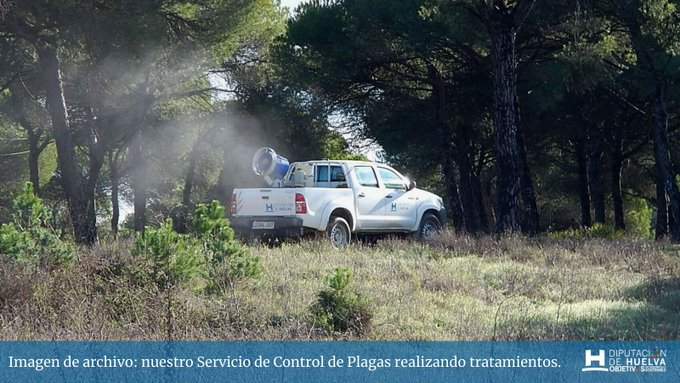 Control de plagas