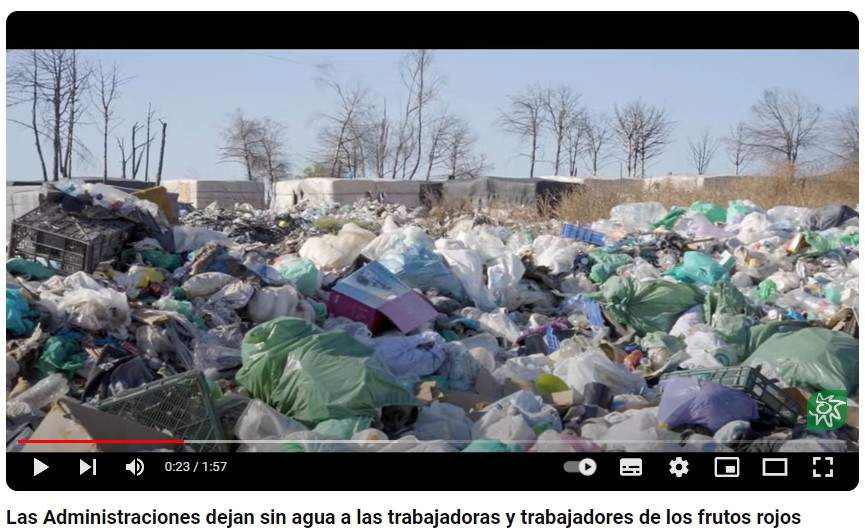 Fotograma del vídeo con la acumulación de basura