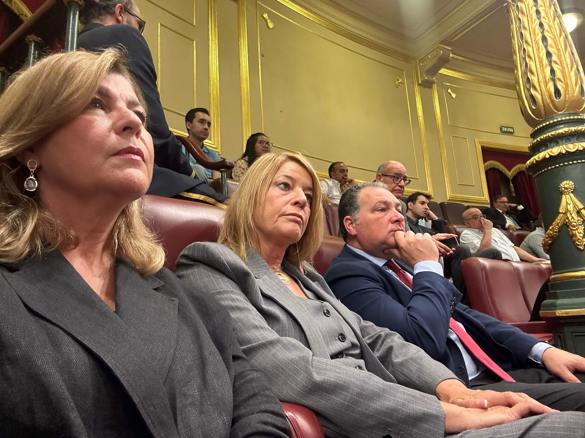 Toscano y Miranda en el Congreso