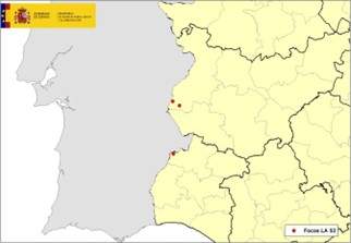 Últimos focos detectados