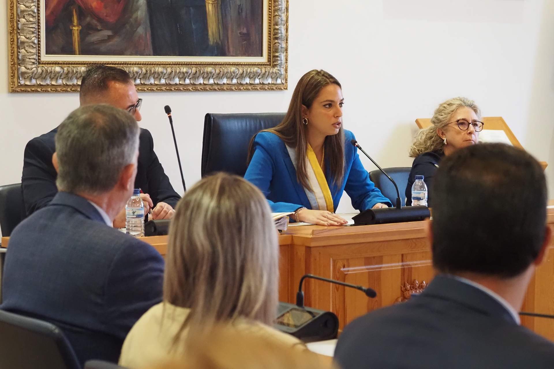 Milagros Romero, ya presidiendo el Pleno palermo