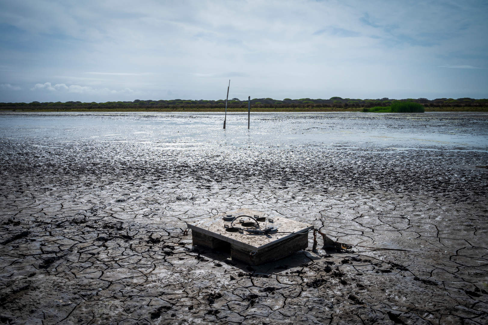 Laguna de Santa Olalla el pasado lunes 7 de octubre // Alejandro Muñoz, Estación Biológica de Doñana - CSIC