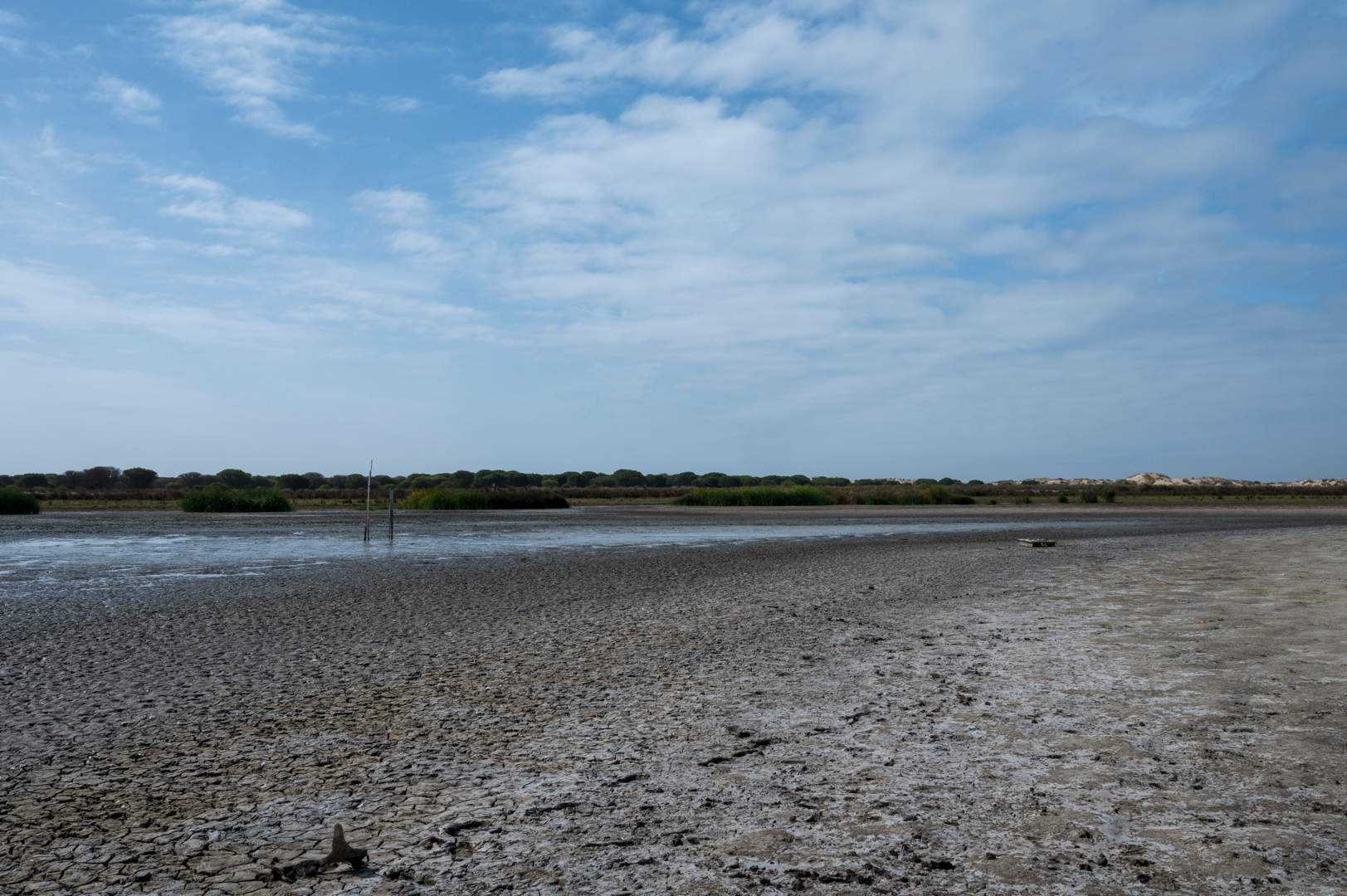 Estado de la laguna de Santa Olalla el pasado lunes 7 de octubre // Alejandro Muñoz, Estación Biológica de Doñana - CSIC