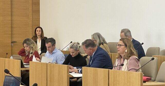Rubén Rodríguez (PSOE) en el Pleno