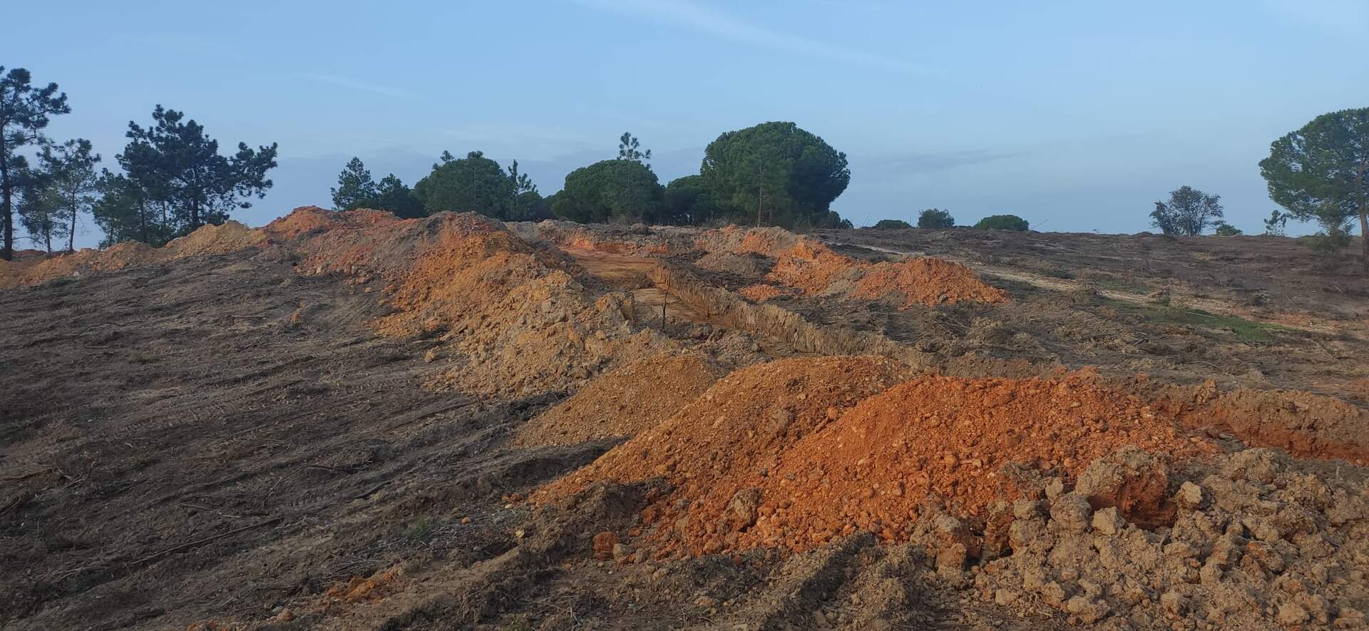 Movimiento de tierras en El Rompido