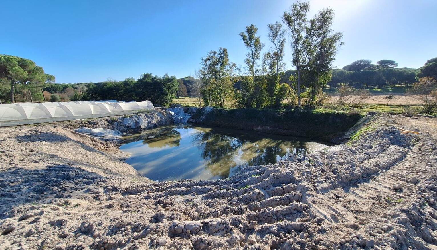 Inspección arroyo La Cañada (Almonte)
