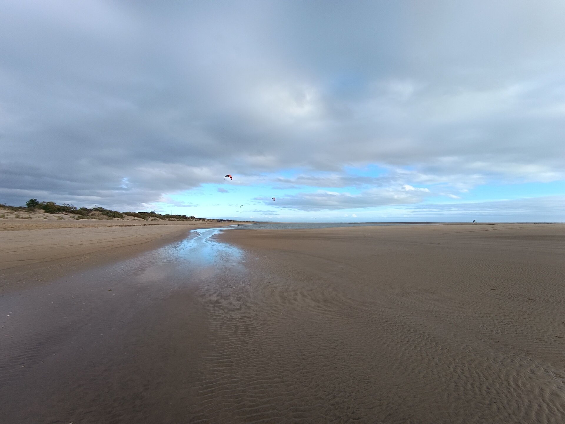 Imagen donde se puede observar el amplio crecimiento de la playa