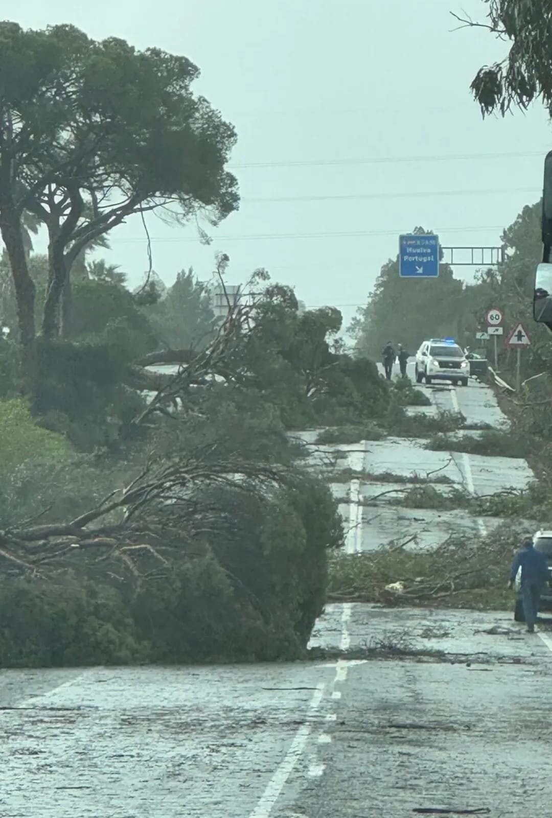Destrozos causados por el tornado