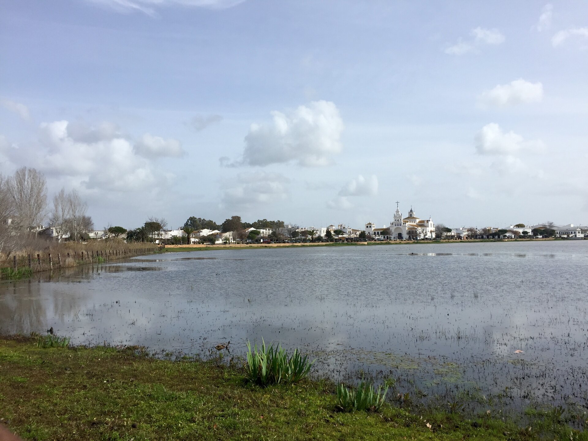 Marismas de El Rocío