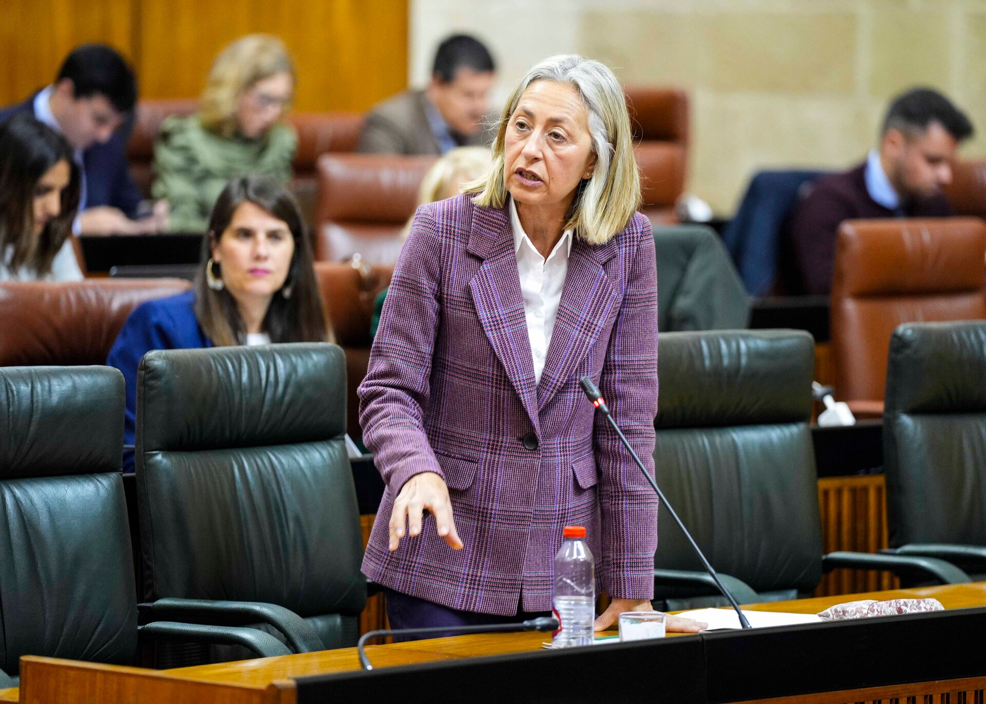 La consejera, en el Parlamento
