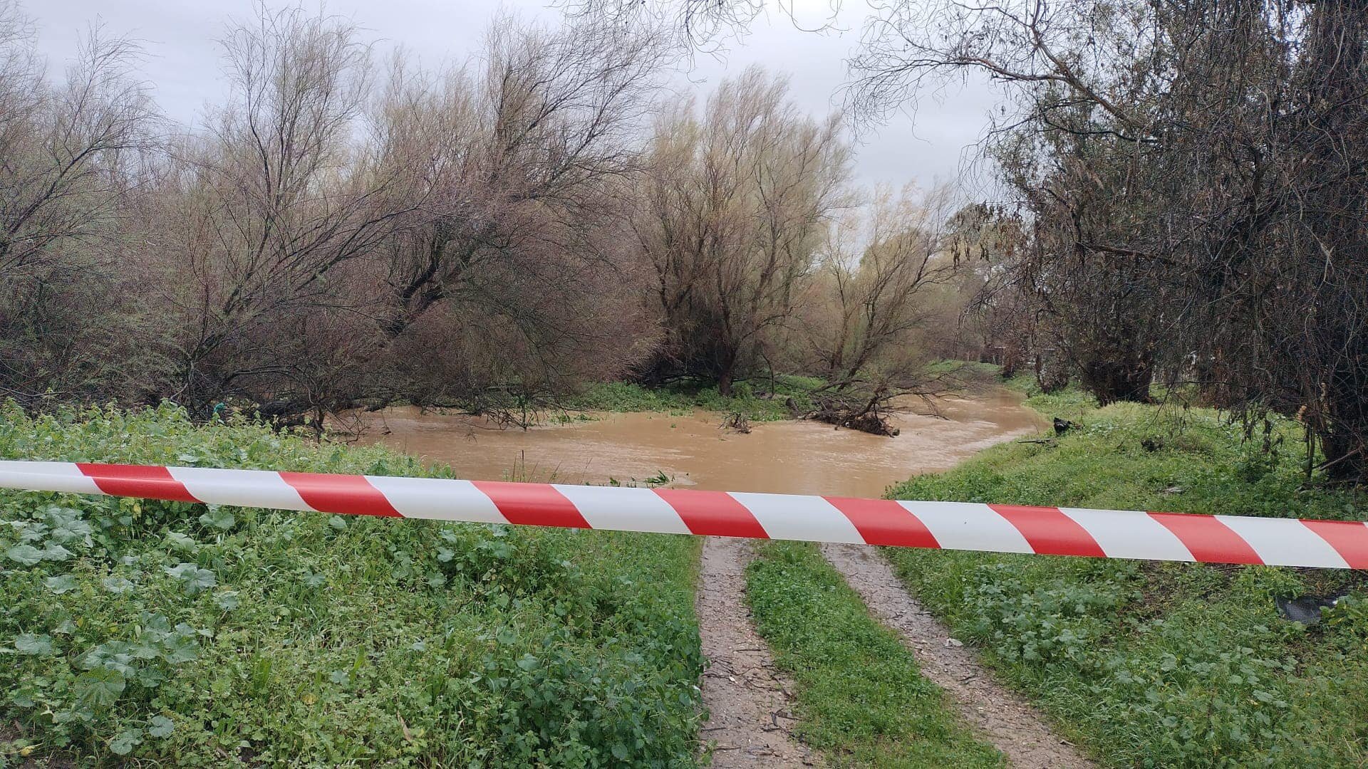 Caminos afectados en Almonte