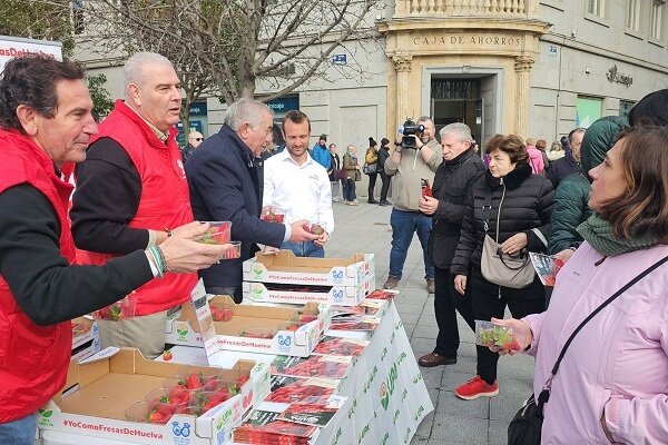 Reparto de fresas hoy en Valladolid