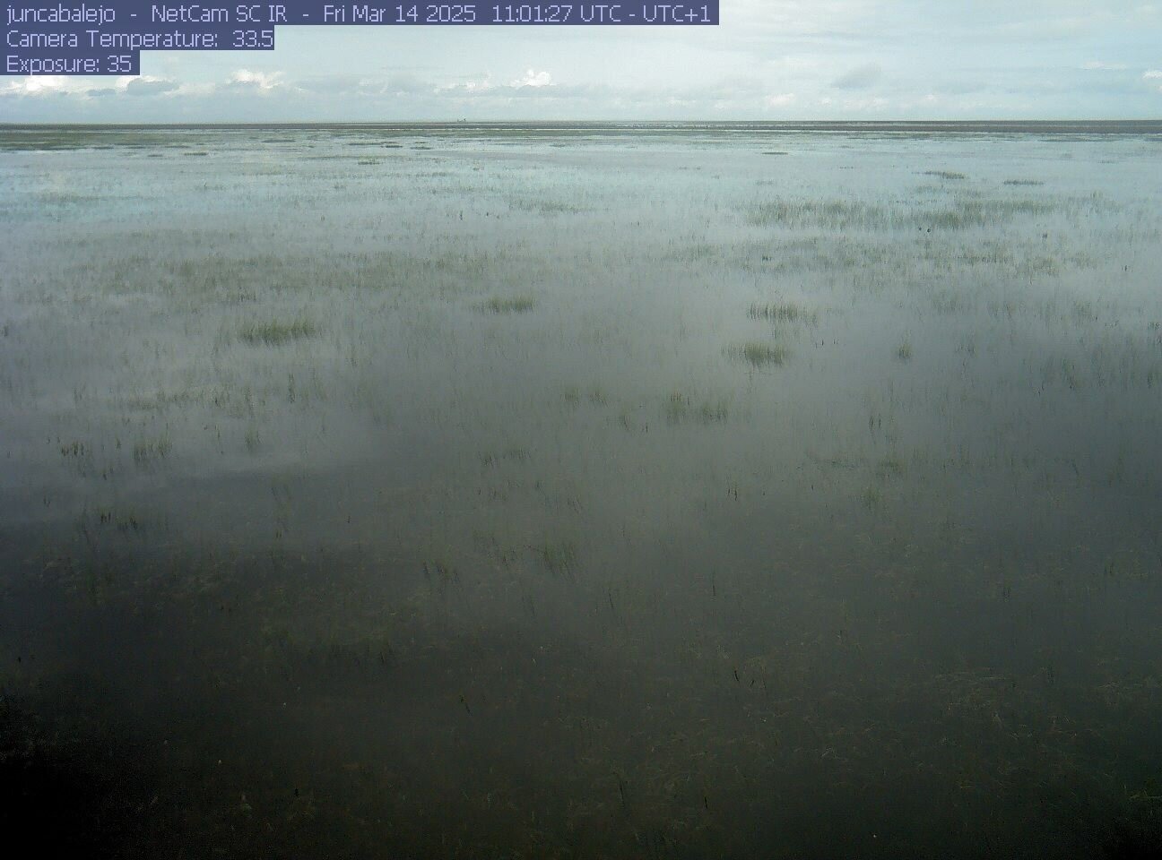 Marismas de Doñana