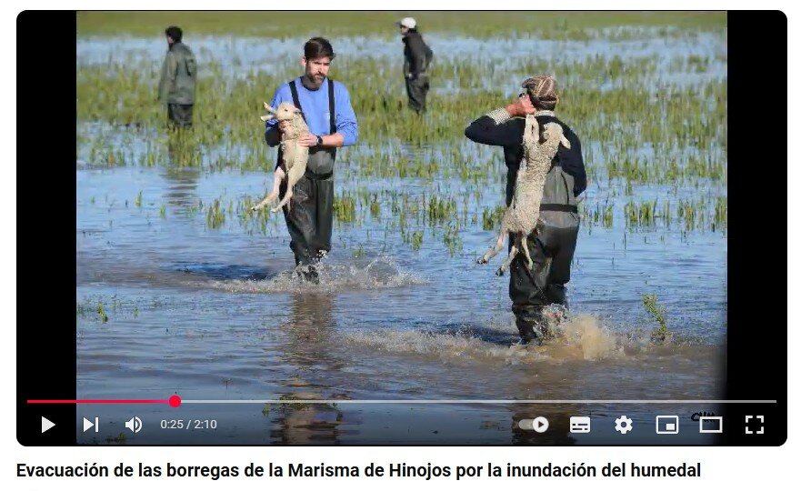 Especie en peligro