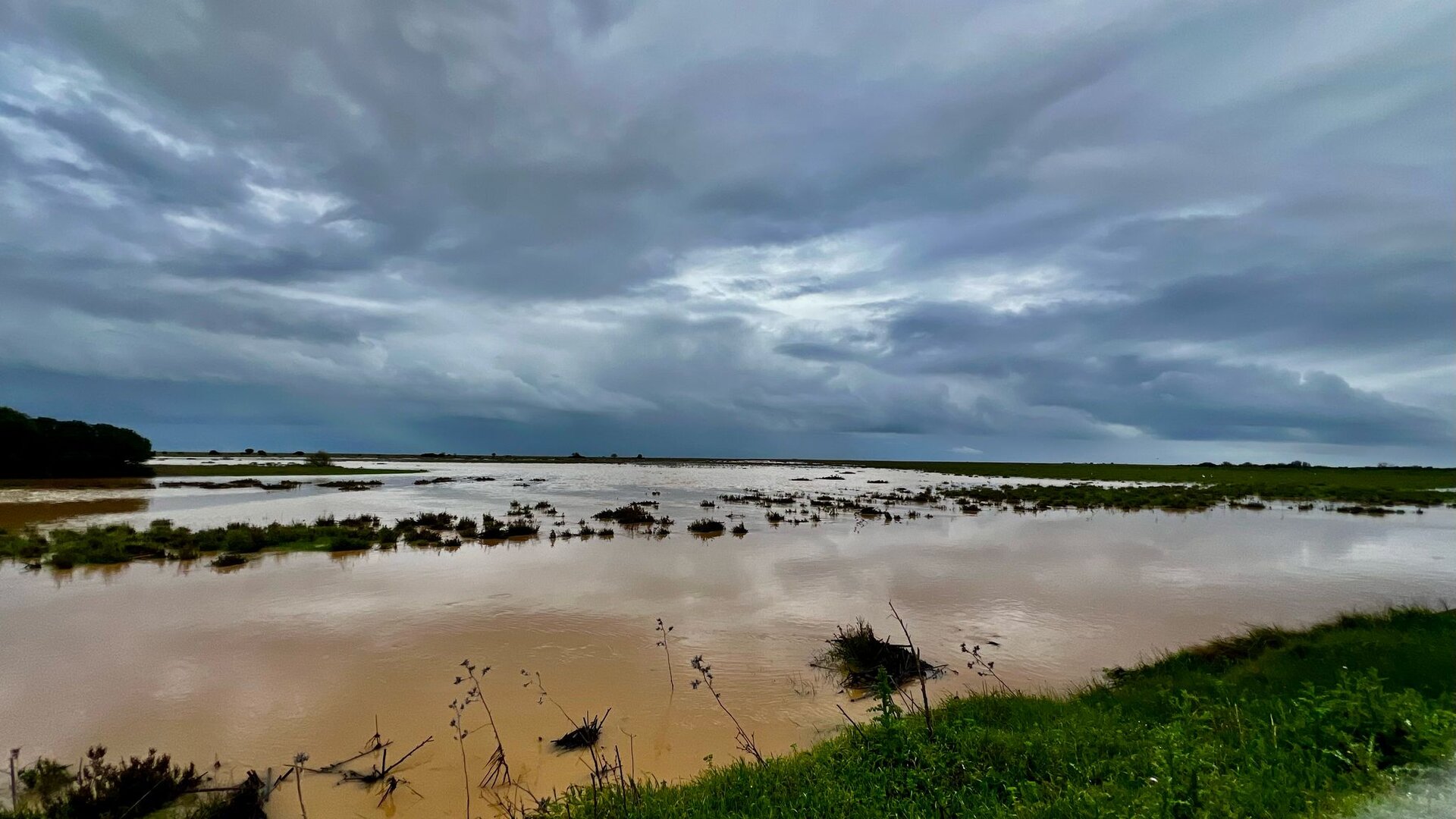 Imagen espectacular de la marisma de Honojos inundada (Foto: Ayuntamiento de Hinojos)
