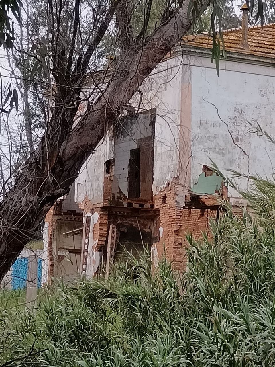 Parte trasera