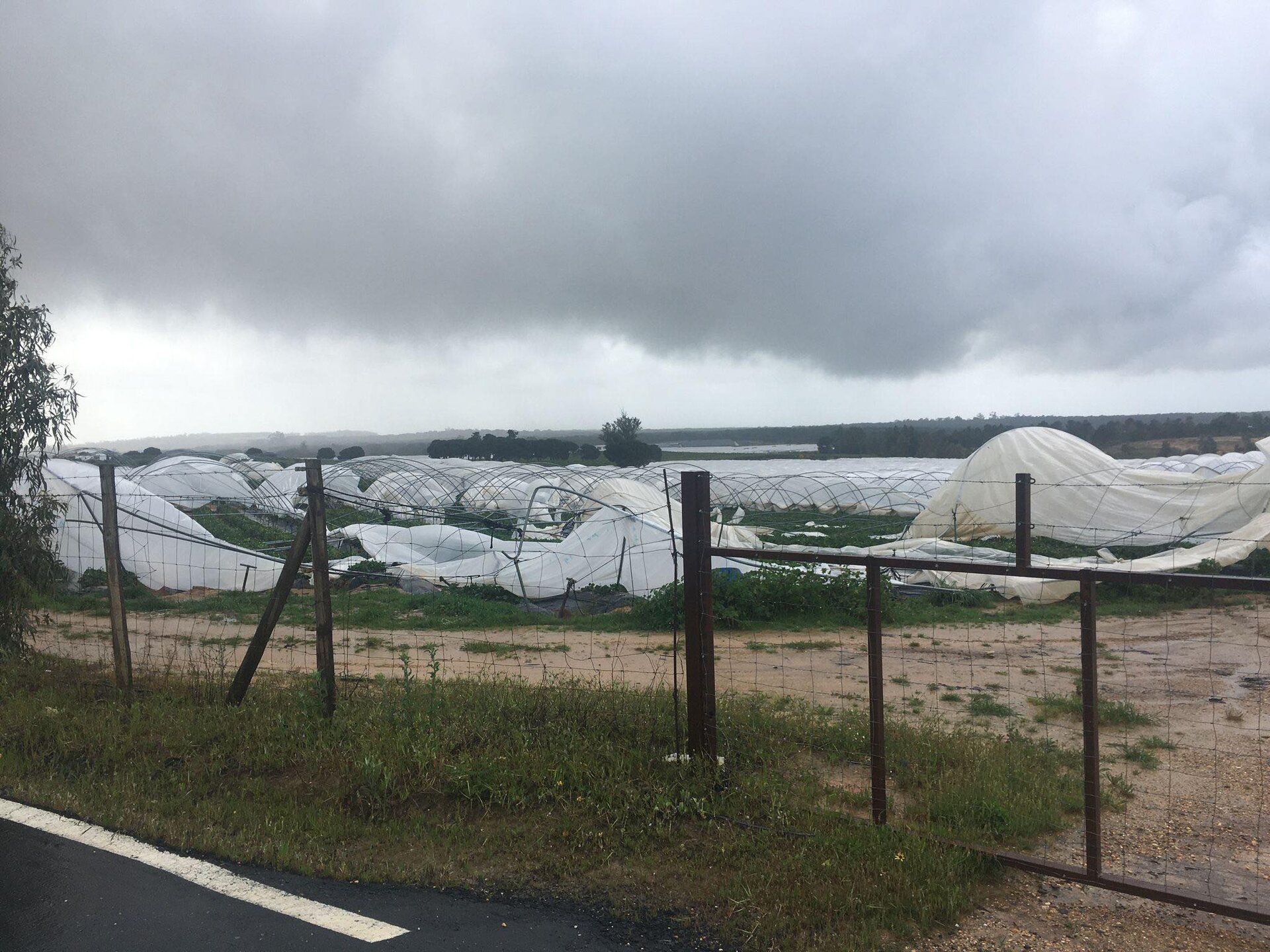 Efectos del 'tornado' en San Bartolomé