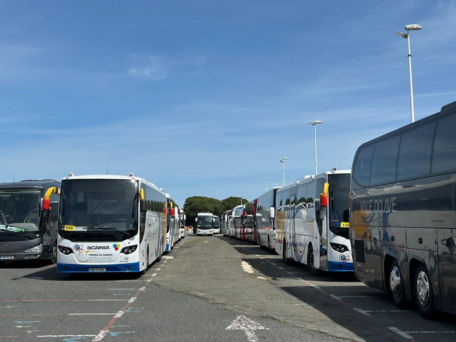 Más de 50 autobuses han llegado a Punta
