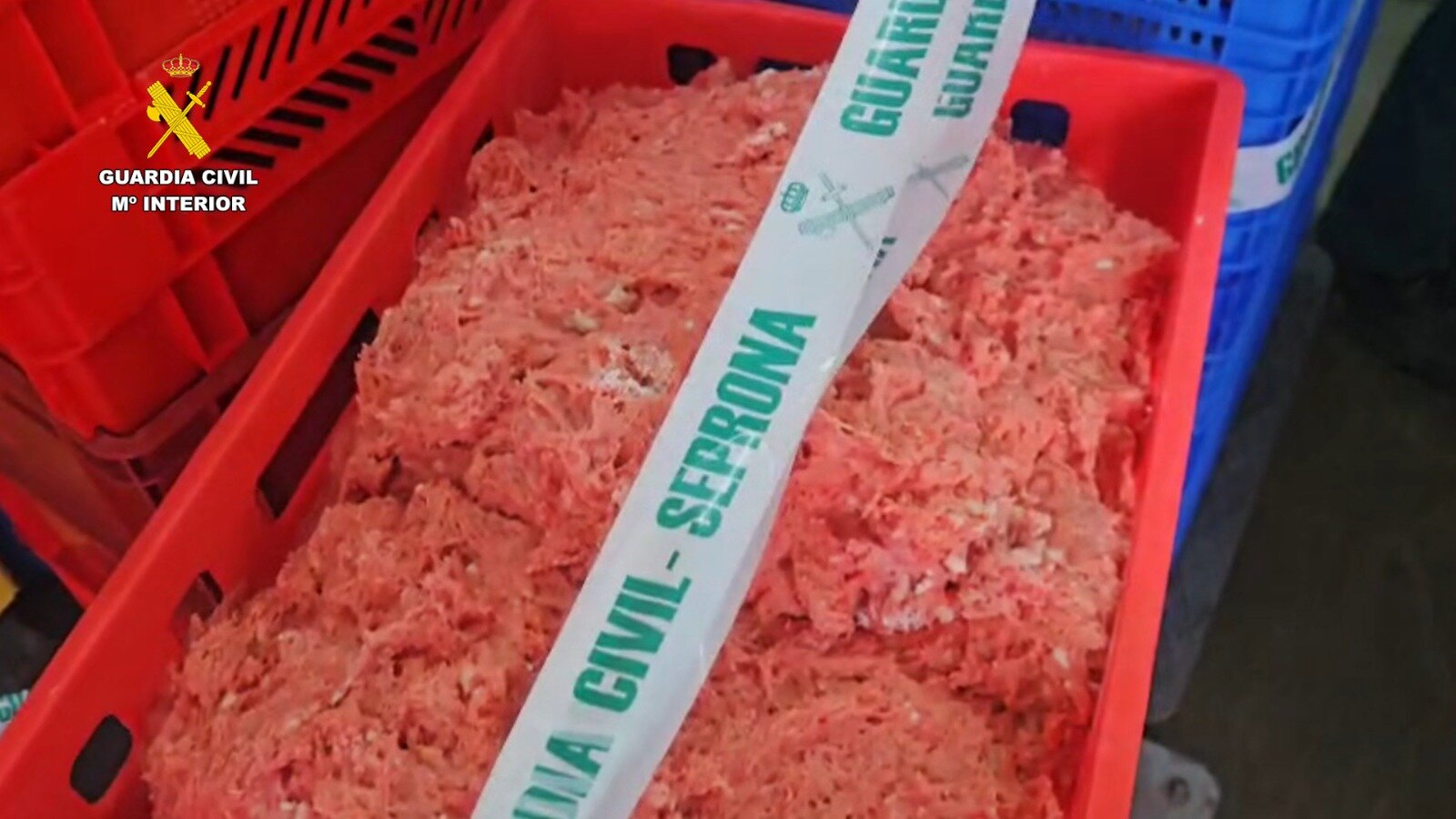 Carne no apta para el consumo