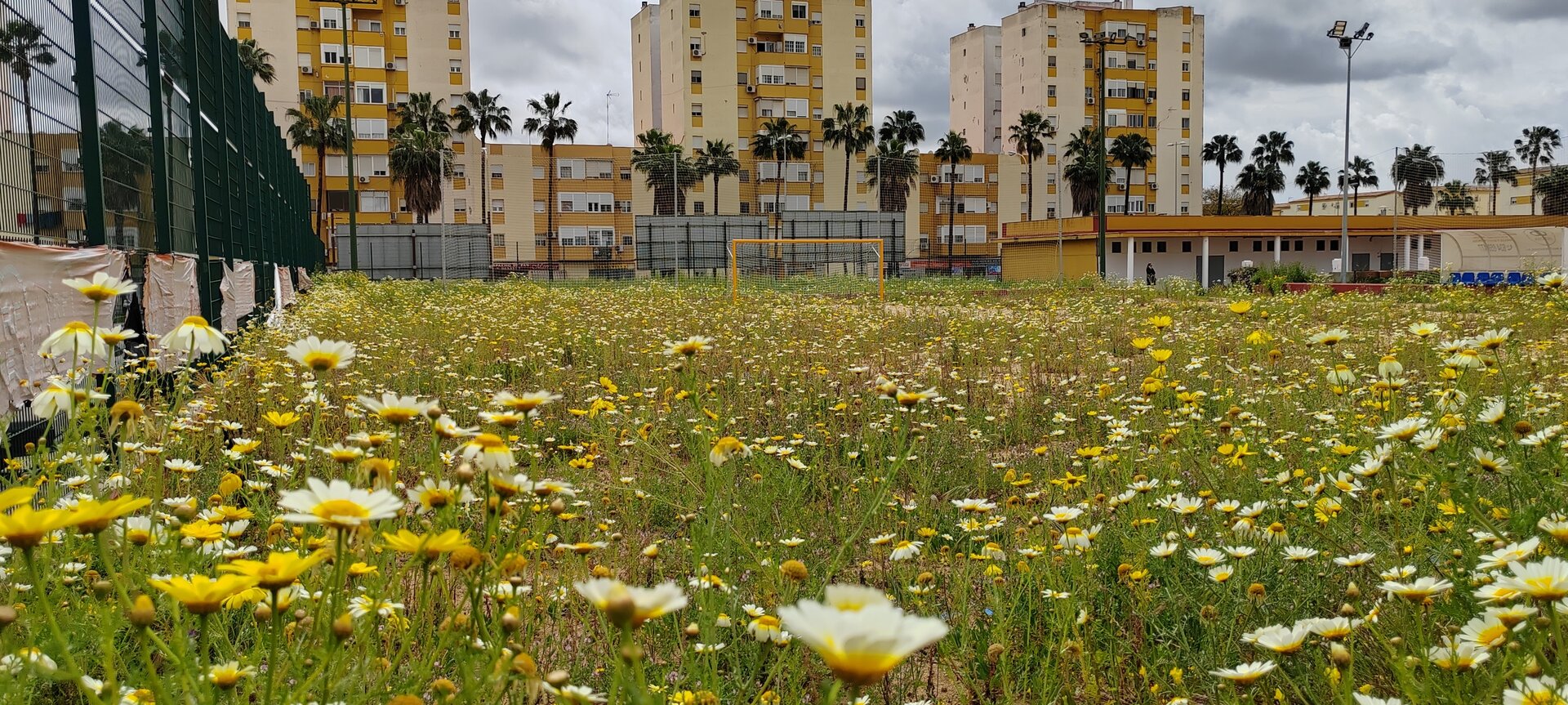 Campo fútbol playa tomado por la maleza y abandonado