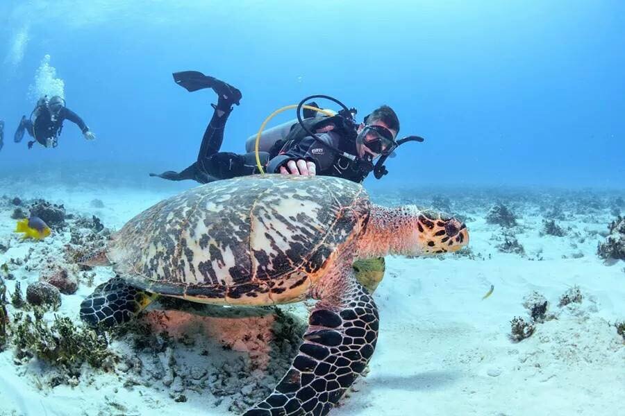 Jonathan buceando en el Caribe