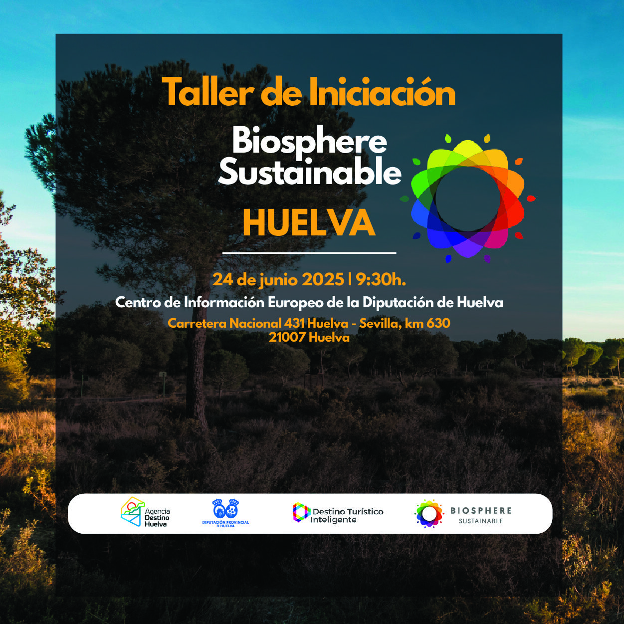 Publicidad 325803