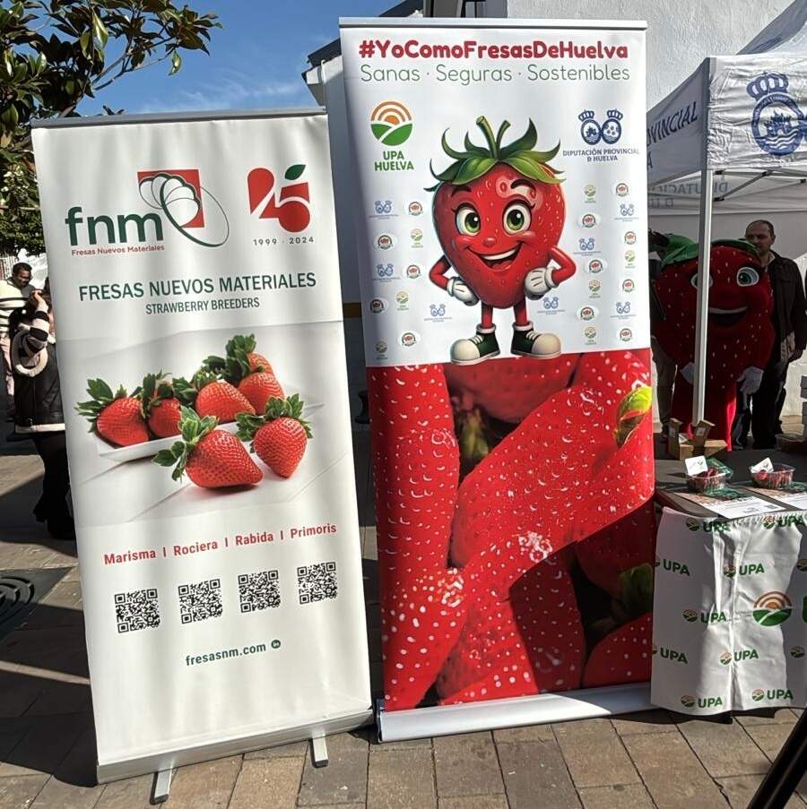 Campaña #YoComoFresasdeHuelva en Adamuz.
