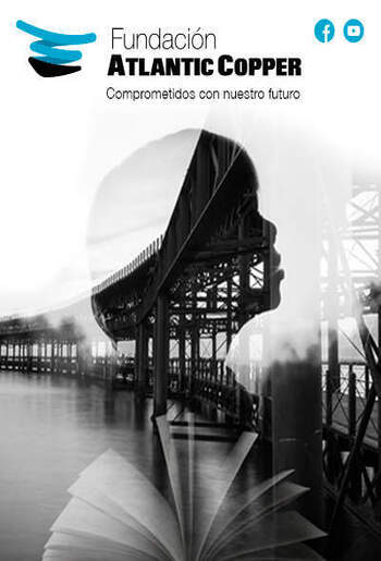 Publicidad 336149