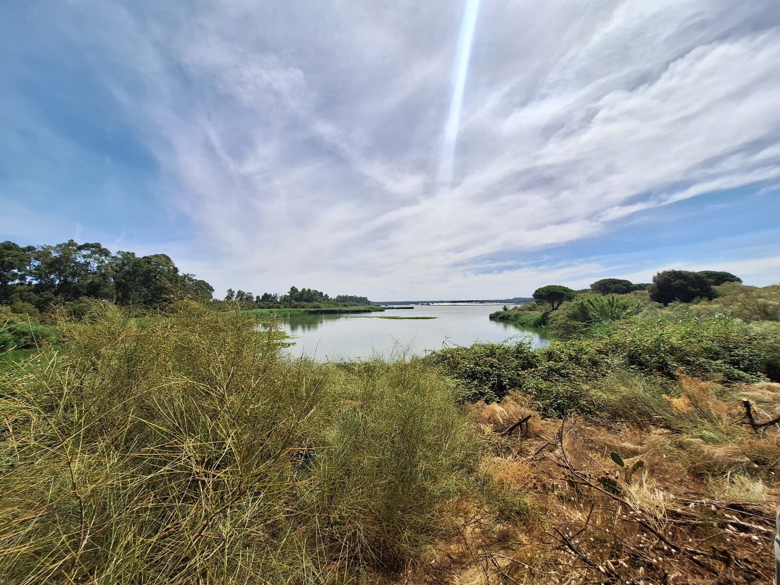 Laguna de las Madres.