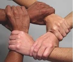 ¡¡¡Lucha!!!