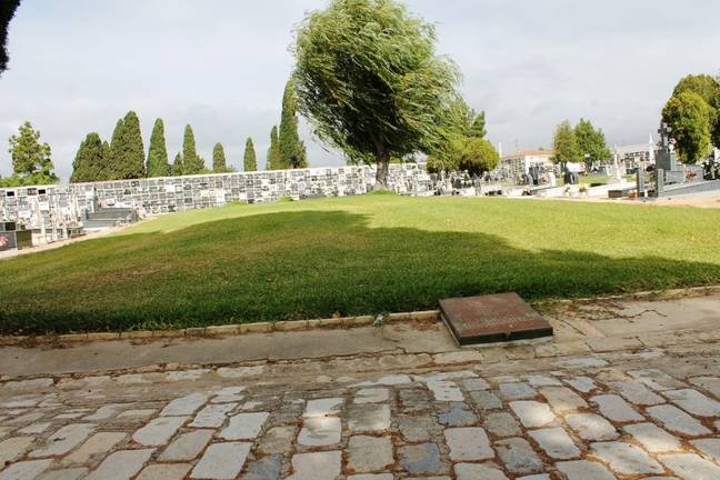 Cementerio de La Soledad 001