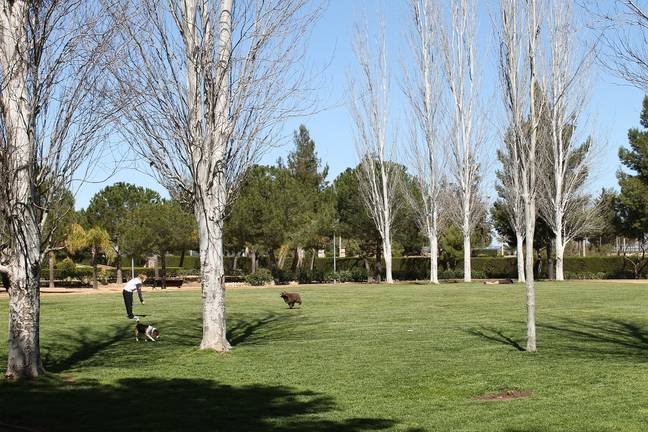 La compleja relación entre animales, vecinos y espacio público en Huelva