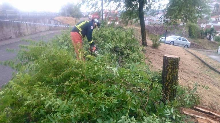 Fotos: Consorcio de Bomberos