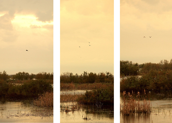 obra Cecilia Gilabert