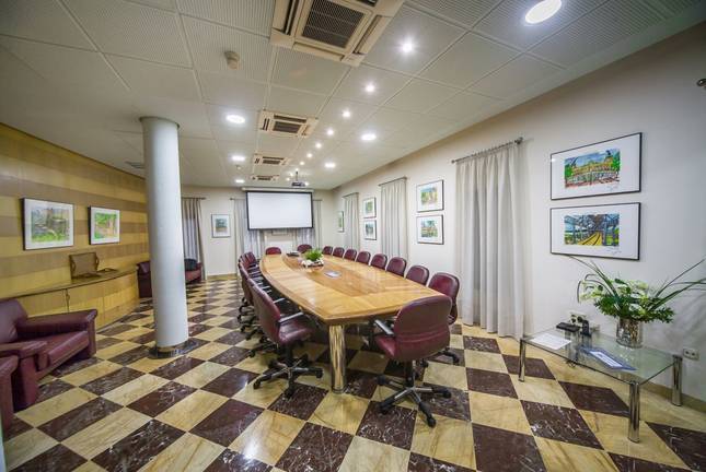 cuadros-sala-consejo-ah