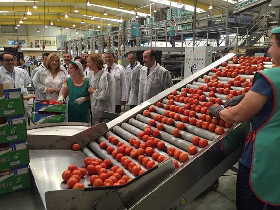Huelva ve aumentado el valor de sus exportaciones hortofrutícolas un 20%