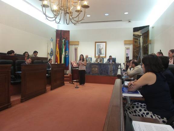 pleno-diputacion-huelva