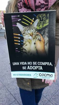 cacma1