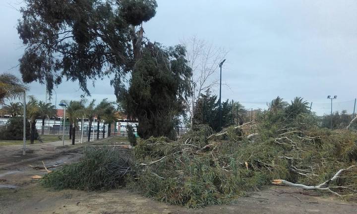 destrozos-temporal-dos