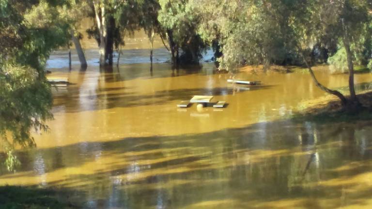 barbacoa inundable Gibraleón