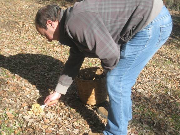 Espacio Protegido Setas (239) b