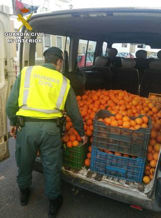 naranjas