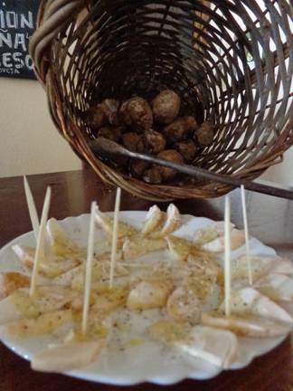 primeros gurumelos en la taberna con chico (15) b