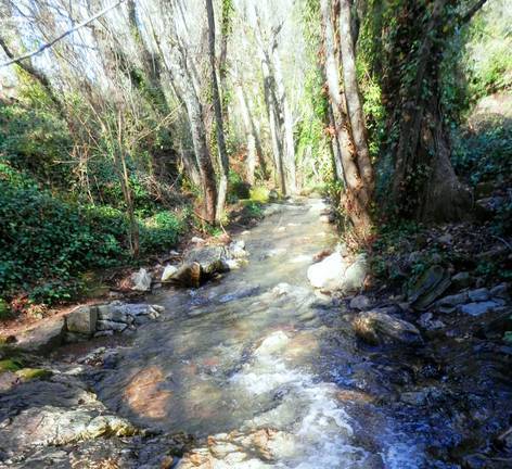 Ruta senderista en la Sierra por uno de los cursos fluviales más espectaculares