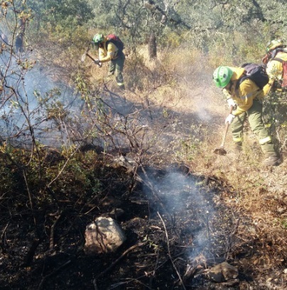Otro incendio en el Andévalo moviliza a 41 bomberos, aviones y helicópteros del Infoca
