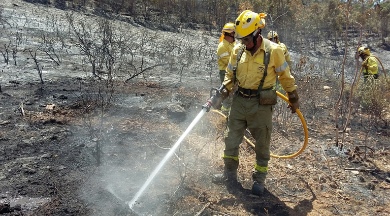 Controlado el incendio de la Marismas del Burro en Huelva